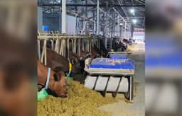 На ферме в Жетысуской области работают 10 роботов