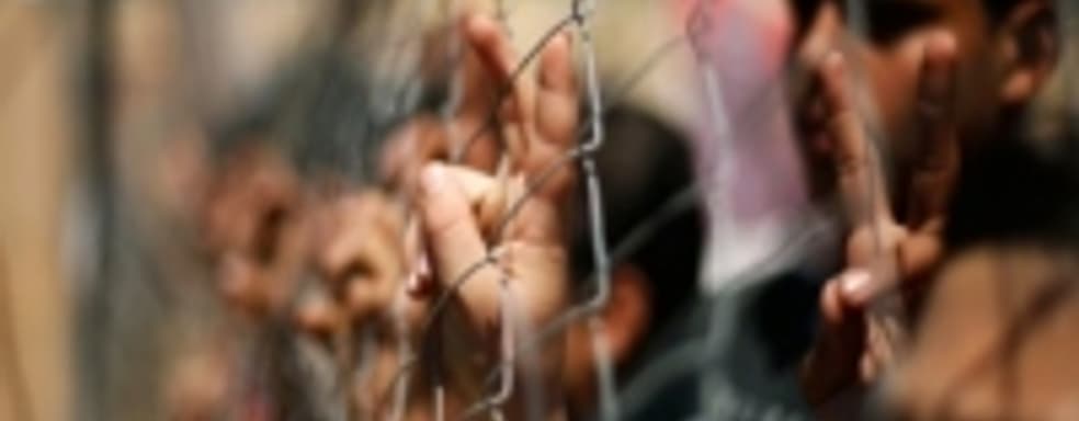 История о том, как отец отучил детей от Call of Duty