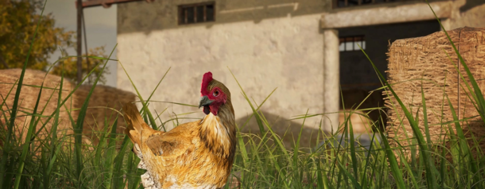 В PUBG появились куры, которые «сливают информацию» об игроках