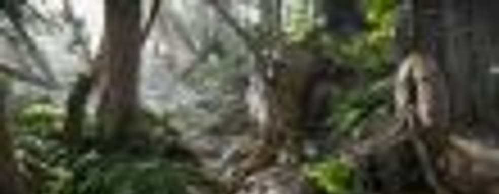 Book of the Dead – интерактивная игра от первого лица, демонстрирующая графические возможности движка Unity