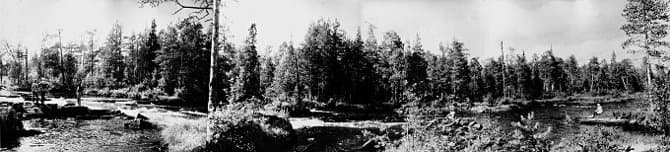 Река Беломорская Шуя