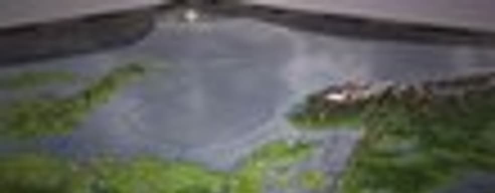 Анонс Crusader Kings II: Rajas of India