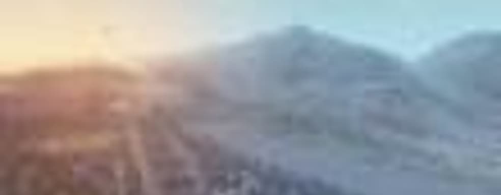 Cities: Skylines в продаже