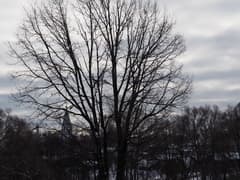 Видеосъемка фотоаппаратом Olympus OM-D E-M5 Mark II