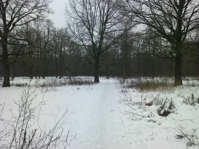 Обзор DNS SI4301. Демонстрационный снимок