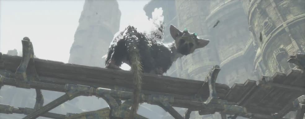 The Last Guardian developers have published the first illustration of a new project