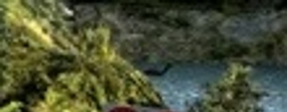 «Пасхалка» в Gran Turismo 5