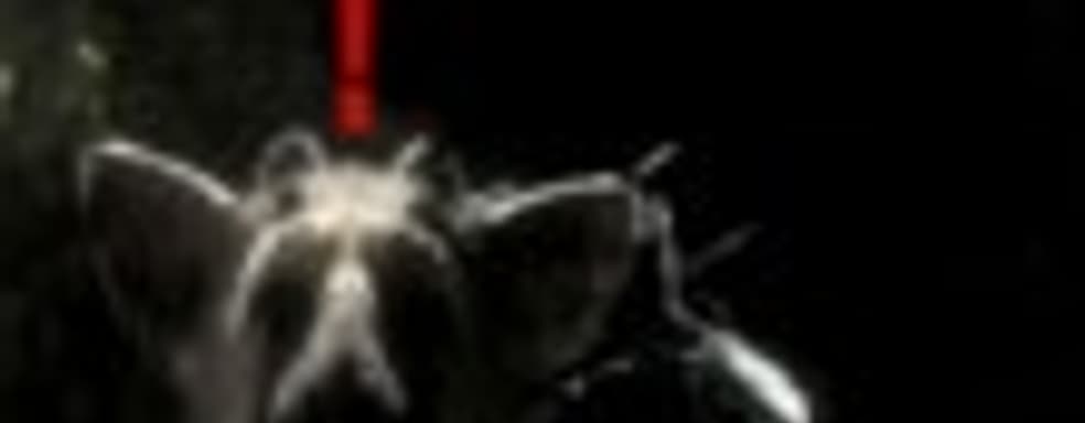 Sony о The Last Guardian: разработка движется очень хорошо