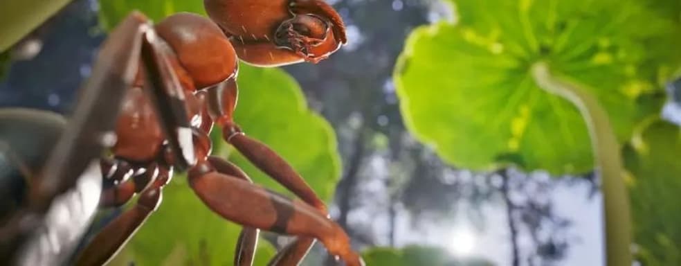Оцениваем фотореалистичную графику на PS5. Стратегия Empire of Ants о муравьях появится на консоли