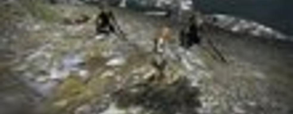 Игровые ролики Dragon's Dogma