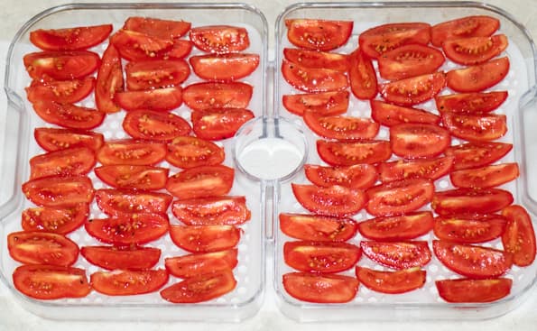 Дегидратор Gochu D-310