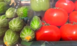 Обзор смартфона Huawei Ascend W1