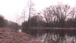 Посмотреть в полном размере