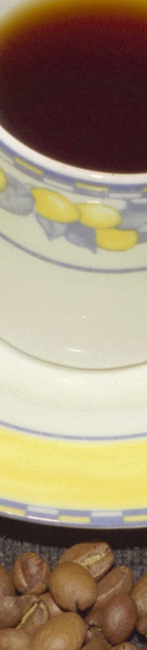 Фрагмент 1:1