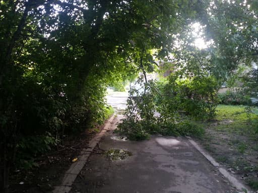 Обзор Samsung Galaxy S 3. Демонстрационный снимок