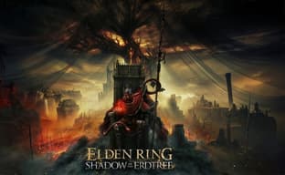 Игроки нашли упоминание Shadow of the Erdtree в Elden Ring