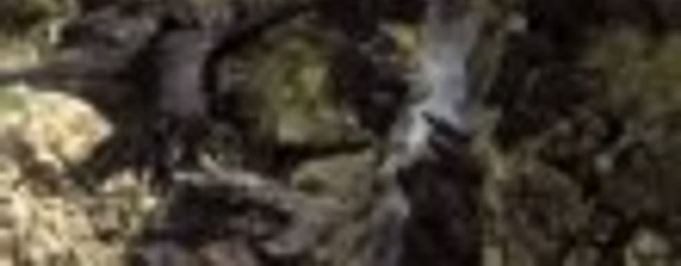 Трейлер Kingdom Under Fire II для PS4