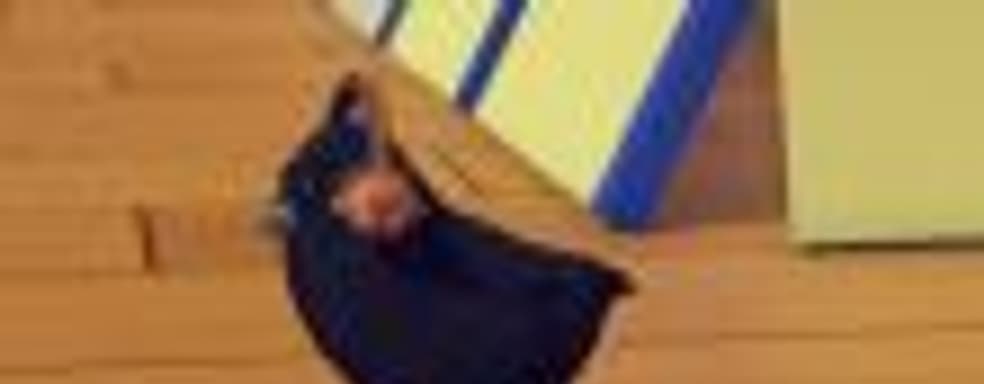 Epic Games не хочет выпускать игру SkateBIRD в своём магазине, поскольку создатели не отказываются от Steam