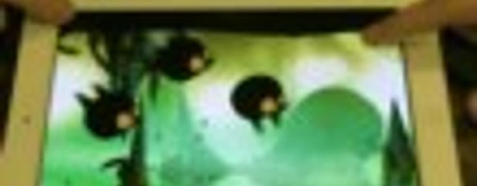 Демонстрация Badland 