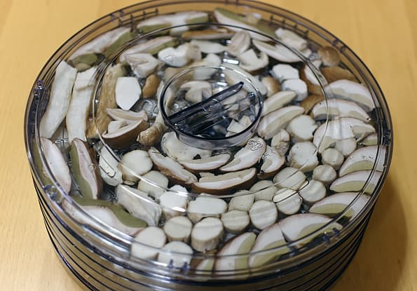 Электрическая сушилка Mystery MDH-321