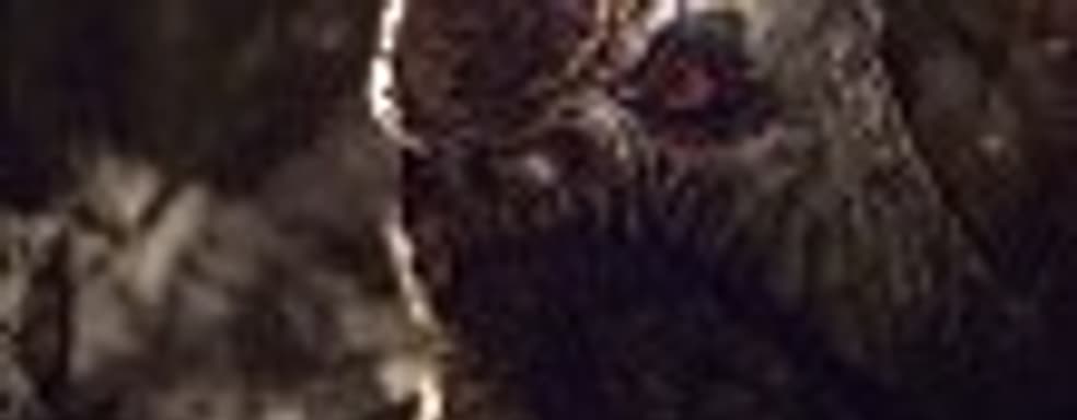 Проблема с RAAM's Shadow DLC  для Gears of War 3 [Обновлено]