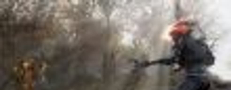 В бета-версии Fallout 76 на РС заблокировали частоту кадров и угол обзора