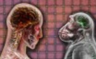 Plague Inc. — пособие по уничтожению человечества