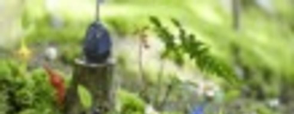 Miyamoto: Pikmin 3 стоило бы выпустить вместе с Wii U