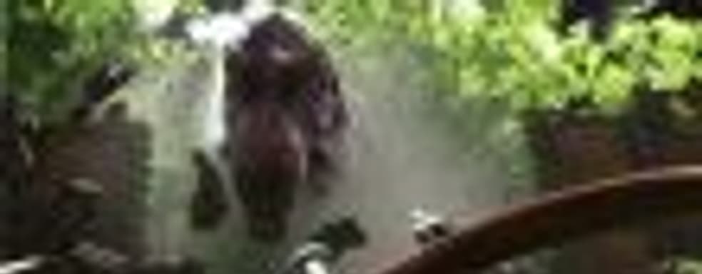 Студия Trendy Entertainment собирается судиться с создателями Ark: Survival Evolved