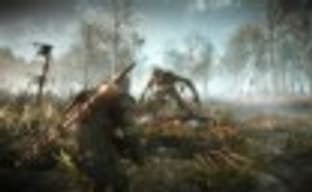 Семь новых скриншотов The Witcher 3: Wild Hunt