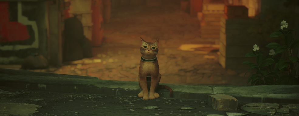 Если бы не котик… Обзор Stray