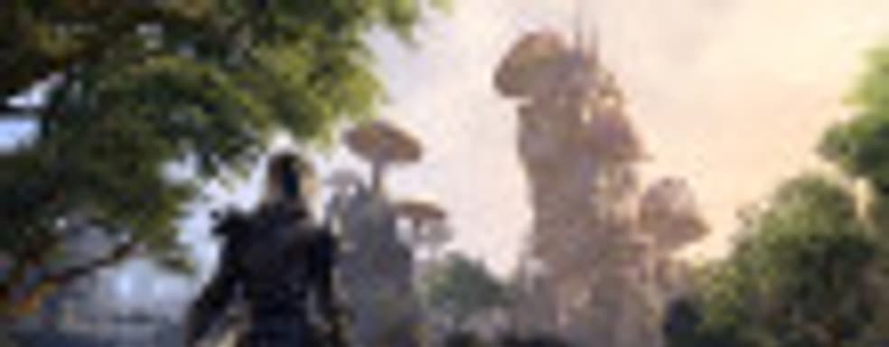 The Elder Scrolls Online продолжат развивать и после выхода The Elder Scrolls 6