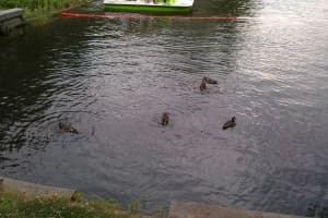 примеры снимков HTC Desire C