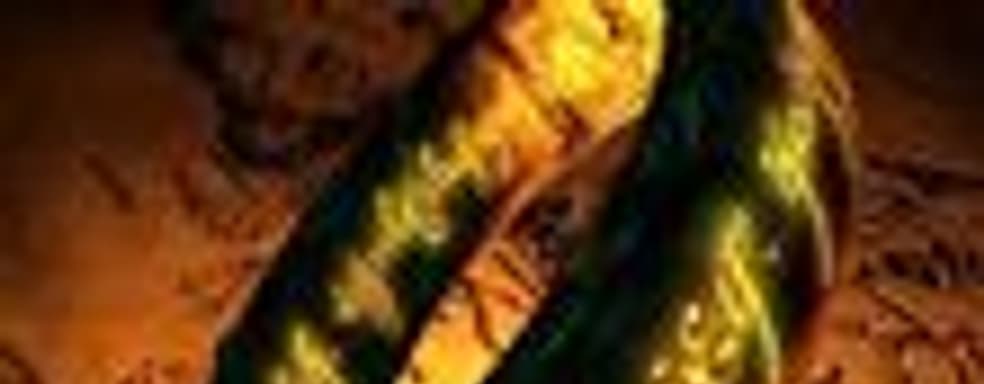 Слух: Warner забрала права на Lord of the Rings у EA