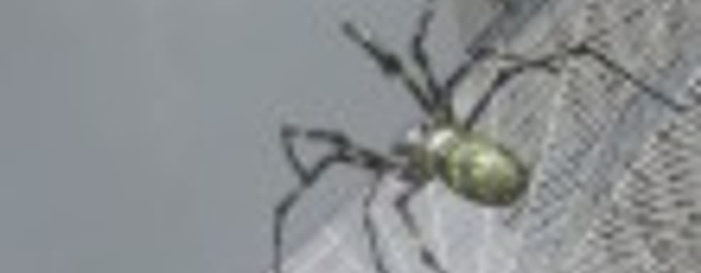 Earth Defense Force 2025 — день независимости