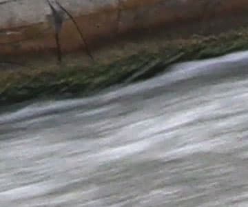 Видеокамера Canon XF405