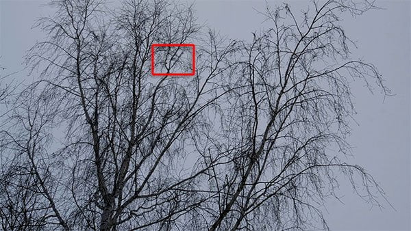 Видеосъемка фотоаппаратом Fujifilm X-T2