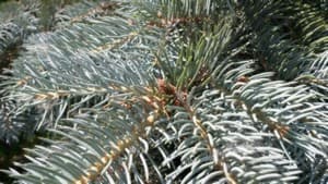 Samsung Galaxy S4 Active, пример снимка