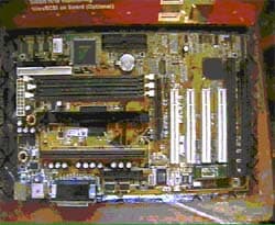 ASUSTeK Computer P2L97