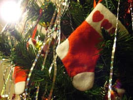 Panasonic Lumix DMC-FX9