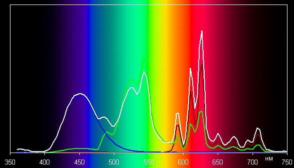 Spectrum