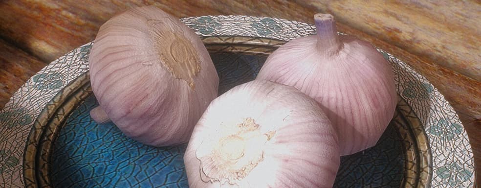 Разработчикам мода Skyrim с реалистичным чесноком пришлось упростить модели