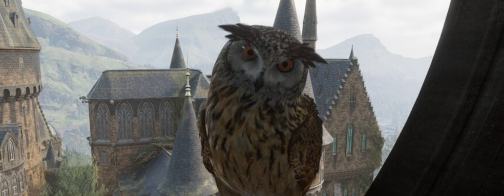 Hogwarts Legacy получила патч с «горячими исправлениями». Разработчики порадовали владельцев GeForce RTX 40 и исправили баги