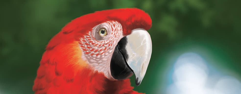 «Джунгли зовут!»: открылся предзаказ на настольную игру «Дикая природа Амазонии»