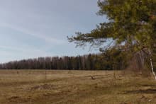 пример фотографии видеокамеры Panasonic HDC-TM900