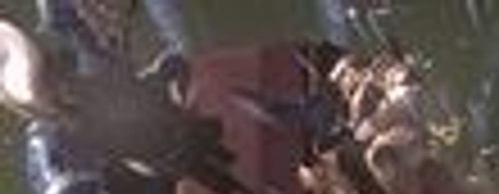 Новые скриншоты (Halo 3, Ninja Blade, Velvet Assassin)