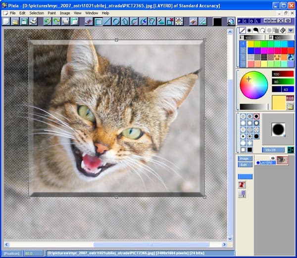 Применение эффекта Button в Pixia
