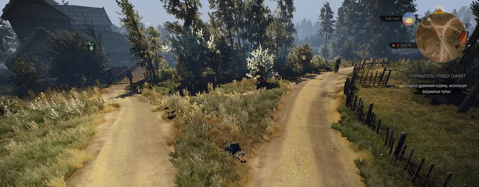 Играем в «Ведьмак 3» от первого лица. Необычный мод получил обновление