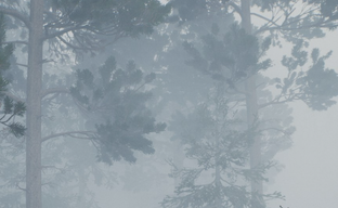 Российский аналог Silent Hill получил патч с оптимизацией и системой сохранений. Для Pine Harbor представили обновление 001