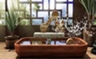 Art of Balance для Wii U